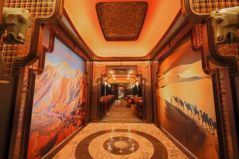 Silk Road Dream Enjoyment Ticket Booking Entrance 2026 Xinjiang High end Tourism Special Train Reservation
