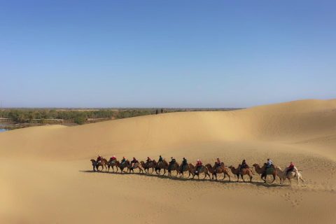 Xinjiang Group Tour Route Prices  Northern Xinjiang 8 Day 7 Night Tour Cost Details Booking