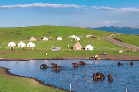 Xinjiang 6 person private small group tour quote 7 seat business vehicle small group per person cost online booking