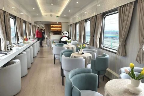 How to buy tickets for the Shifang Panda Special Train  Check availability for North South Xinjiang schedules and lock seats online