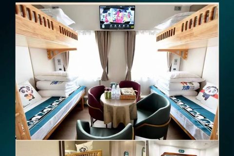 2027 Panda Special Train Chengdu Number Where to Buy Tickets, Which is the Official Booking Agency
