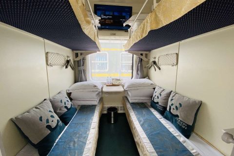 Panda Special Train AnYi Number Booking Channels Schedule Prices Registration Process Complete Guide