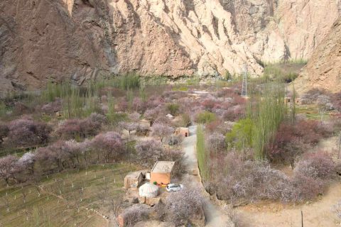 Plan a 10 day trip to Southern Xinjiang, how to sign up for a regular 7 seat business minivan group