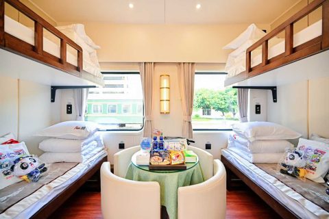 How to buy tickets for the Panda Special Train Anyi Number most reliably  Booking process and official channels