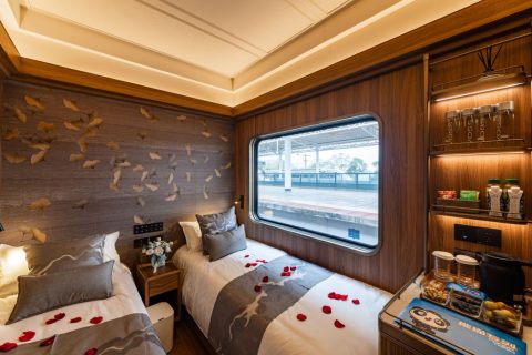 Slow Enjoyment of Silk Road Scenery｜2027 Panda Special Train Chengdu Panoramic Loop