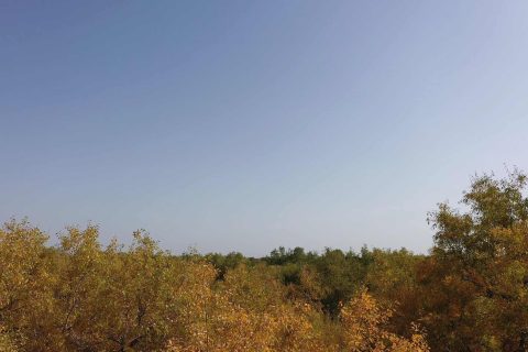South Xinjiang 10 Day 2 6 Person Pure Tour Small Group, Will It Arrange Shopping Stops