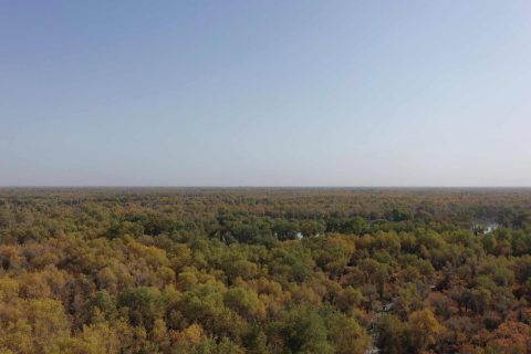 Xinjiang Tour Group Price  Pure Play Large and Small Group Cost Differences