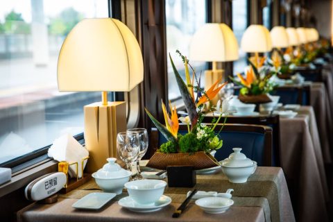 Panda Special Train Chengdu Official Ticket Booking Channels and Registration Guide