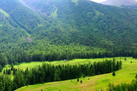 Xinjiang 10 Day Small Group Tour for 2 6 People, Are Meal Costs Self Paid Along the Way