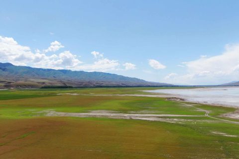 Yining local group tour routes and costs  Comparison of multiple one day and two day tour routes