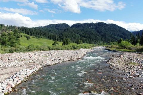Xinjiang Private Car Recommendation  Family of Three Plus Friends Six Person Group 7 Seat Private Car Booking Steps
