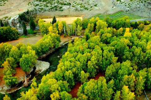 How to Sign Up for a 6 Person Small Group Xinjiang Tour  North South Xinjiang Loop 15 Day Tour Sign Up Method
