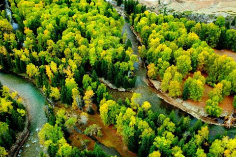 Xinjiang 6 Person Private Small Group Tour Price Kanas Hemu 8 Day Premium Small Group Itinerary and Cost