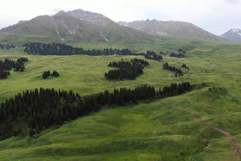 Tired of hassle with chartered cars  Xinjiang 6 person small group worry free travel guide