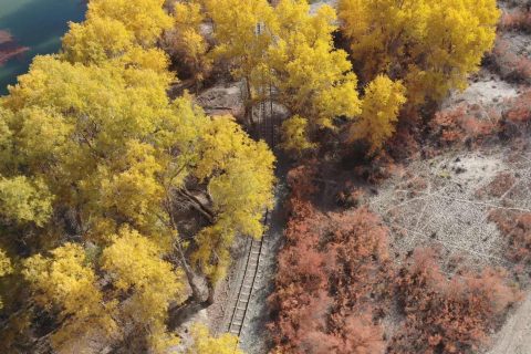 South Xinjiang 10 Day Loop Small Group, Best Travel Time for Mountain Roads