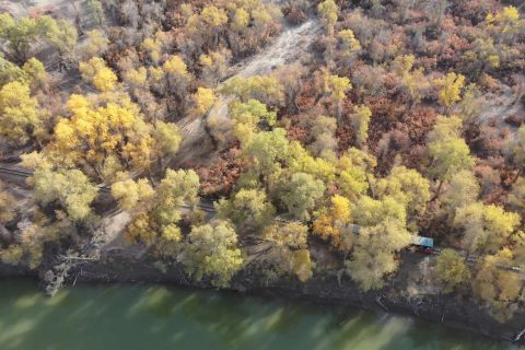 10 Day Xinjiang Tour  Kanas and Sayram Lake, Small Group Itinerary