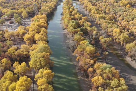 Xinjiang Travel  Which Mode Is Most Worry Free  Analysis of Five Modes  Small Group, Chartered Car, Private Tour