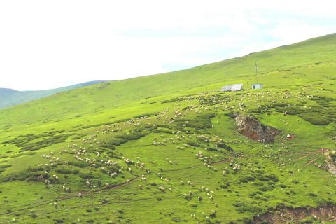 Xinjiang 10 Day 9 Night Pure Tour Price  Quality Comfort Type 3000 4500 Yuan Range