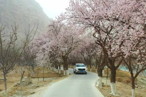 Xinjiang Six Person Small Group Price  Southern Xinjiang Kashgar Pamir Plateau 7 Day Six Person Small Group Price Inquiry Method