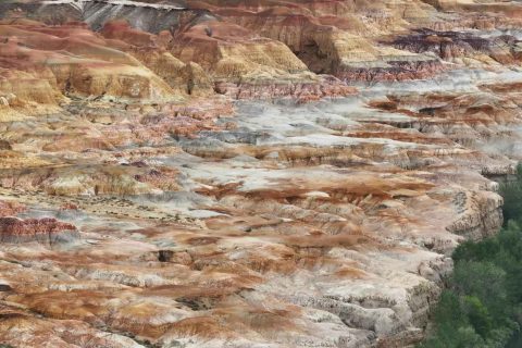 Xinjiang 2 6 Person Small Group Cost  First Class Light Luxury from 8000 and How to Book a Small Tour Group