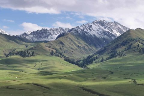 2026 Southern Xinjiang Peak Season Carpooling Guide, Reserve Vehicles and Beds in Advance for Small Groups of 2 6 People