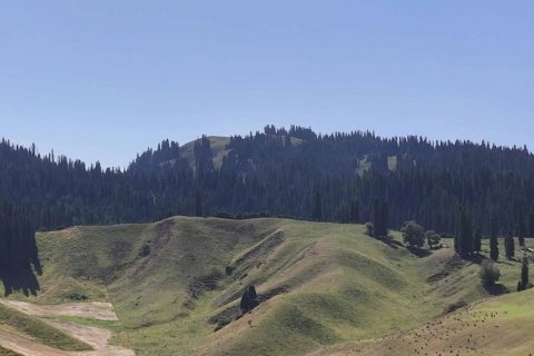 Altay local tour pricing  Northern Xinjiang loop 8 day pure play tour including accommodation and tickets total price details query