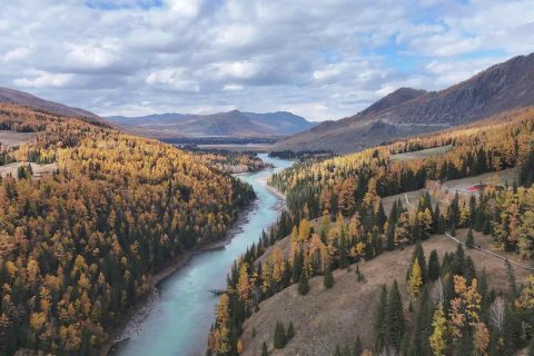 Xinjiang Travel Car Rental Contract Signing Process Detailed Explanation and Insurance Clause Interpretation Booking