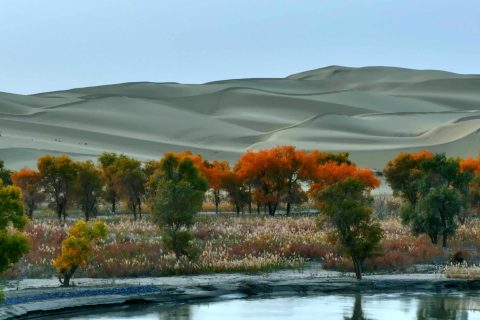 Xinjiang Tour Group 10 Day Small Group Price  No Shopping Pure Play Tour Price Reference