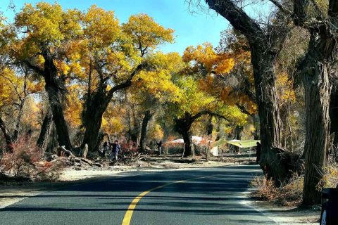 Xinjiang Travel Private Car Guide  Photography Tour with Storage Car Rental Booking Fee Guide