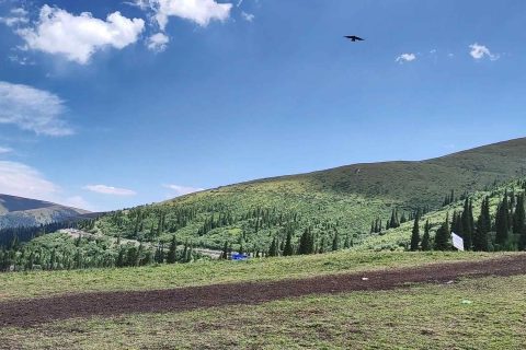 Xinjiang Pure Tour Small Group Price List 7 Seat Business Van with Driver Fee Details