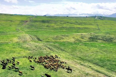 Xinjiang Tour Group Price Guide 2026  Latest Price List and Cost Breakdown