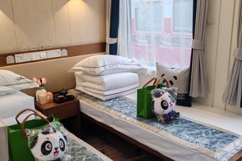 2026 Panda Special Train AnYi Number Registration Entrance Ticket Price
