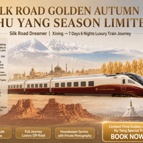 7D6N Populus Euphratica Silk Road Dream Express Kashgar Xining