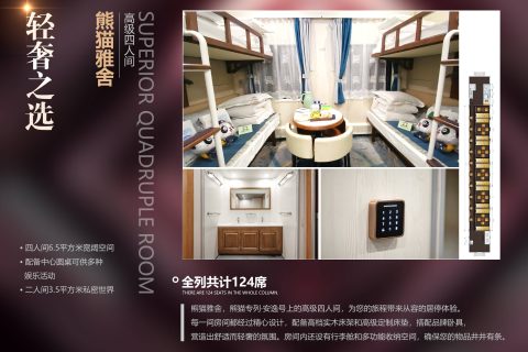 Panda Special Train AnYi Number Price 2026 Official Price List