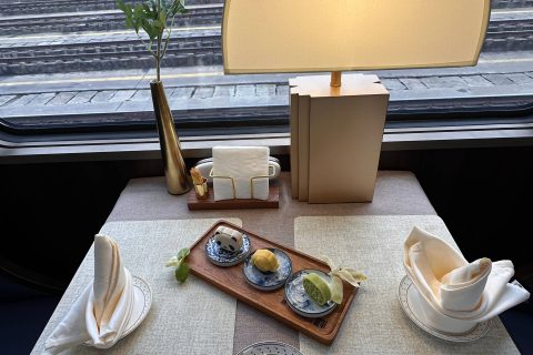 2027 Chengdu Panda Special Train Booking Guide  Itinerary Confirmation and Ticket Processing