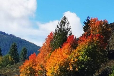 Xinjiang 10 Day Private Small Group Tour, No Shopping, Official Booking Channel
