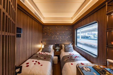 2027Panda Special Train Chengdu to North South Xinjiang Complete Booking Guide and Schedule