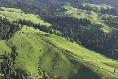 Xinjiang 8 Day Group Tour Cost  Complete Analysis of Per Capita Expenses for Northern Xinjiang Panoramic Route
