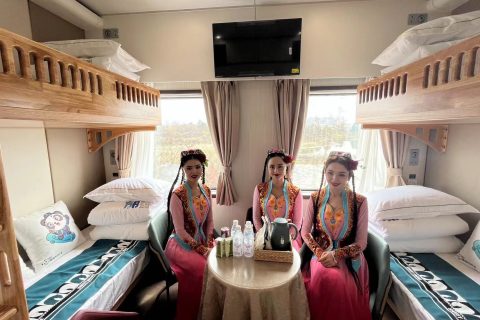 How to Book Tickets for the Shifang Panda Special Train  Group Registration Process Guide
