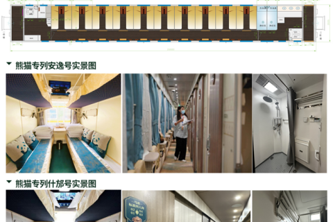 How to Book the Shifang Panda Special Train  Ticket Prices and Reservation Guide