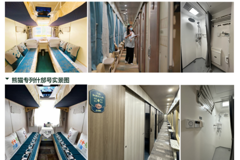 Shifang Panda Special Train Official Ticket Purchase, Ticket Prices, and Pitfall Avoidance Guide