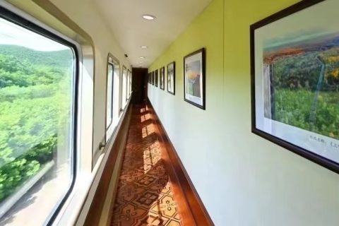 Lin Capital Senior Tour Train, Recommended Registration Channels for Middle Aged and Elderly Travelers