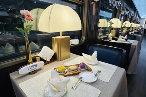 2027 Chengdu Panda Special Train Routes and Ticket Price List  Travel Budget for Senior Tourists