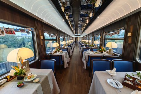 How to Buy Tickets for the Chengdu Panda Special Train  Detailed Registration Process and Official Travel Contract Booking