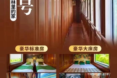 Lin Capital Winter Ice and Snow Special Train, Seat Reservation Permissions from Different Official Channels